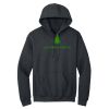 Heavy Blend Hooded Sweatshirt Thumbnail